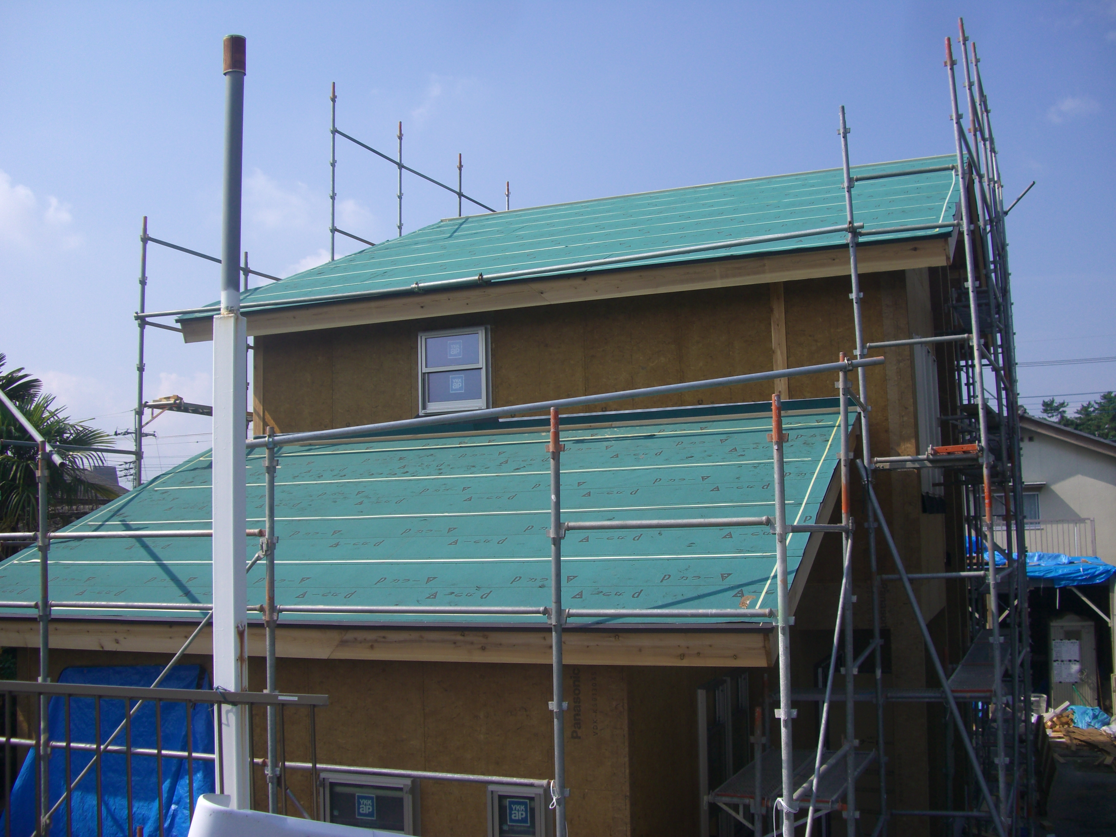 ����-�{�H�O