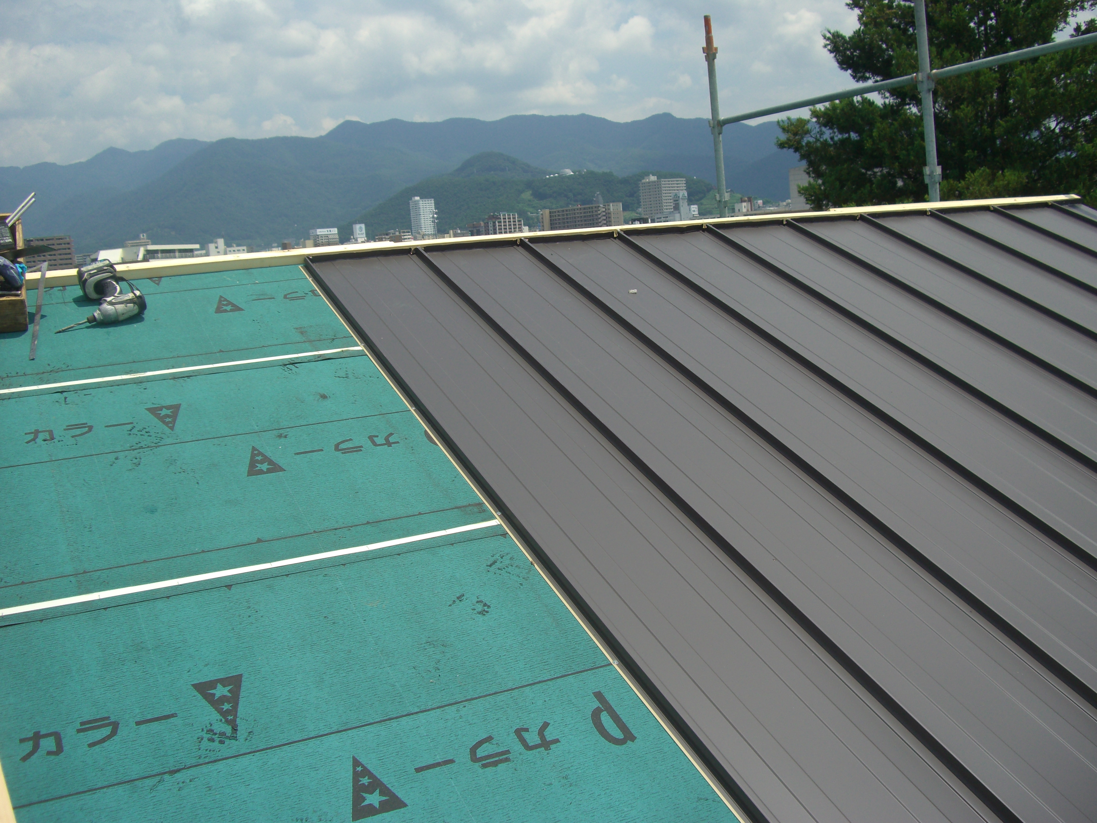 �����{�H