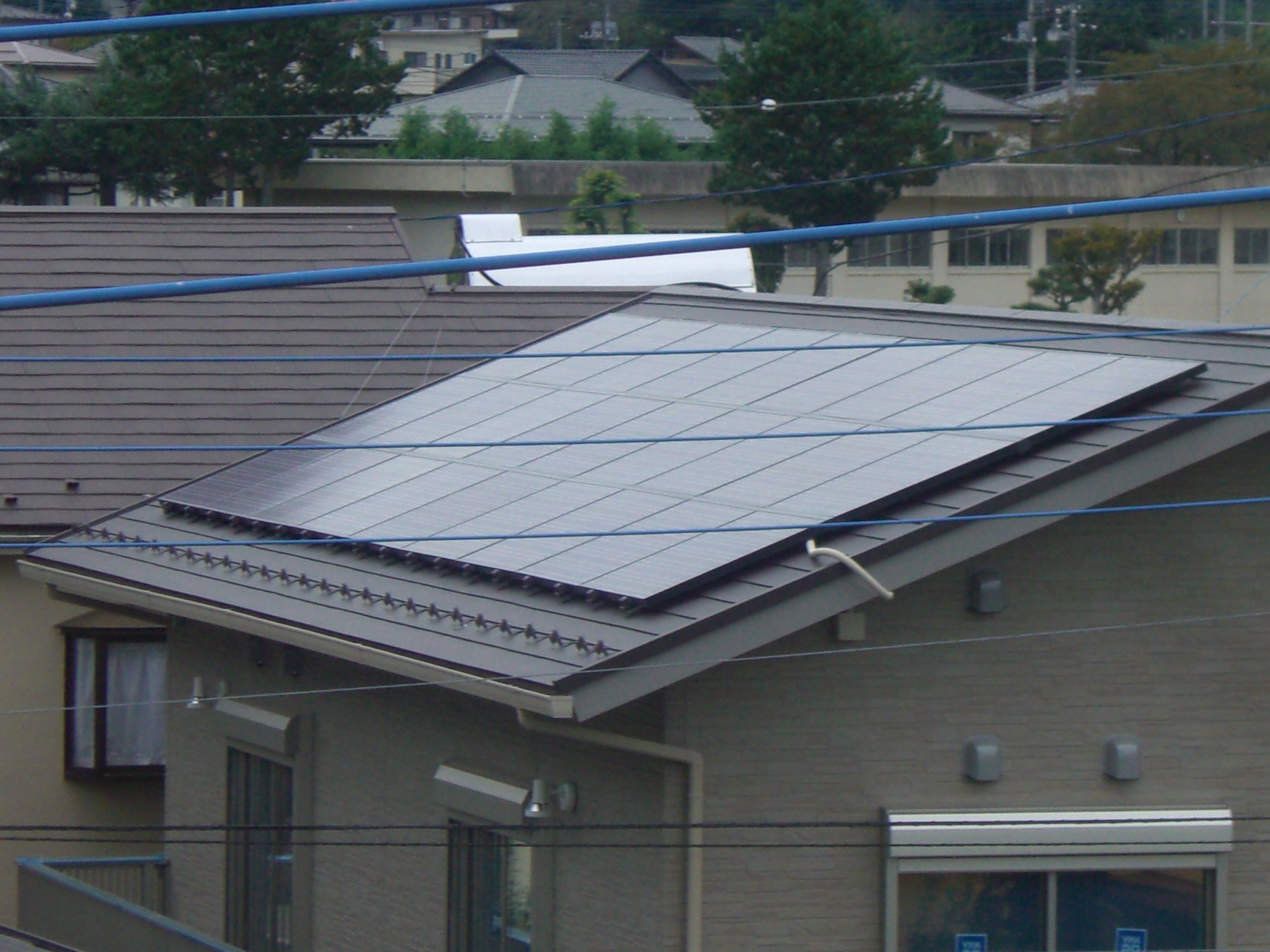 ���z���{�H