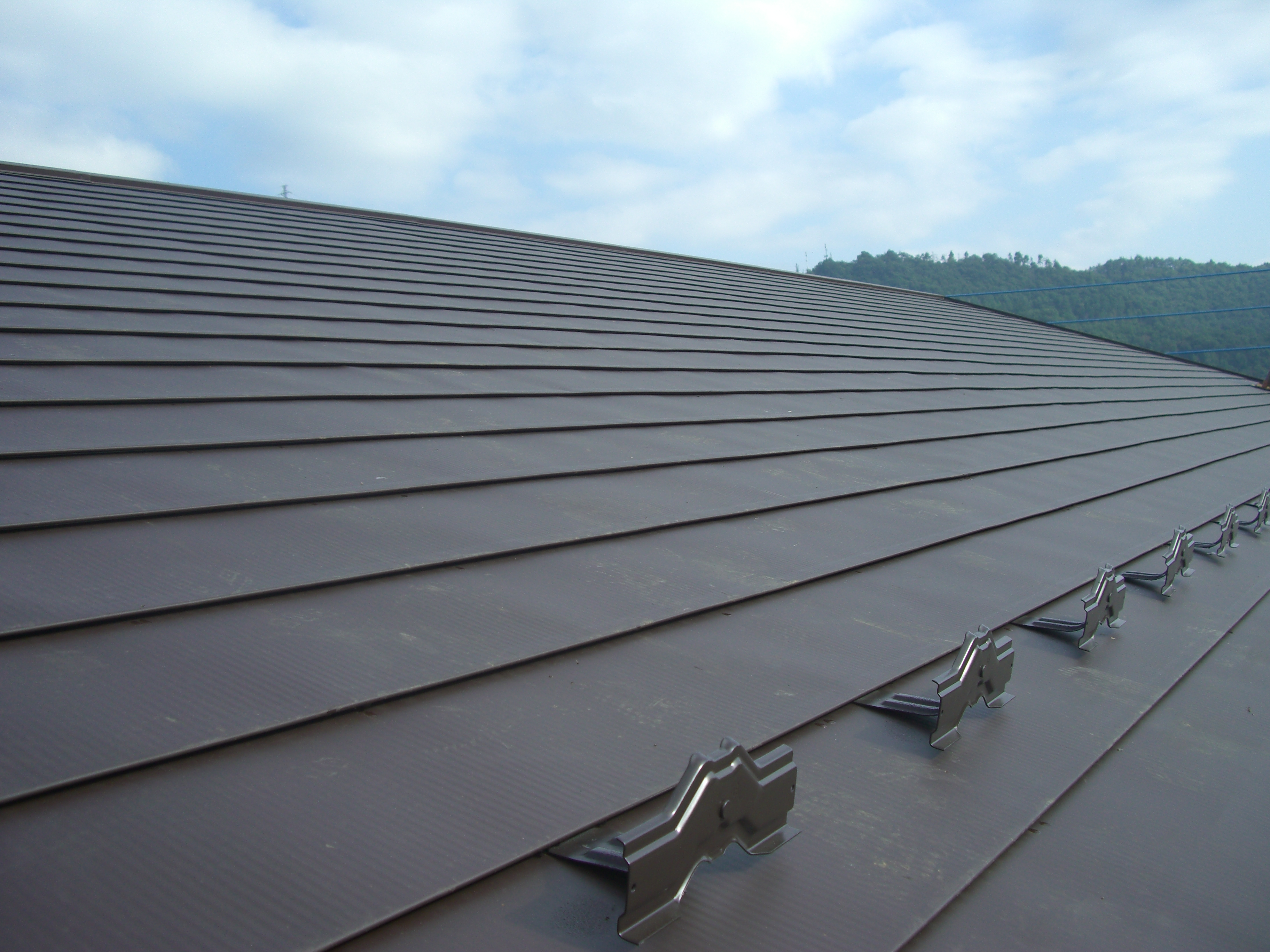 ���z��-�{�H�O