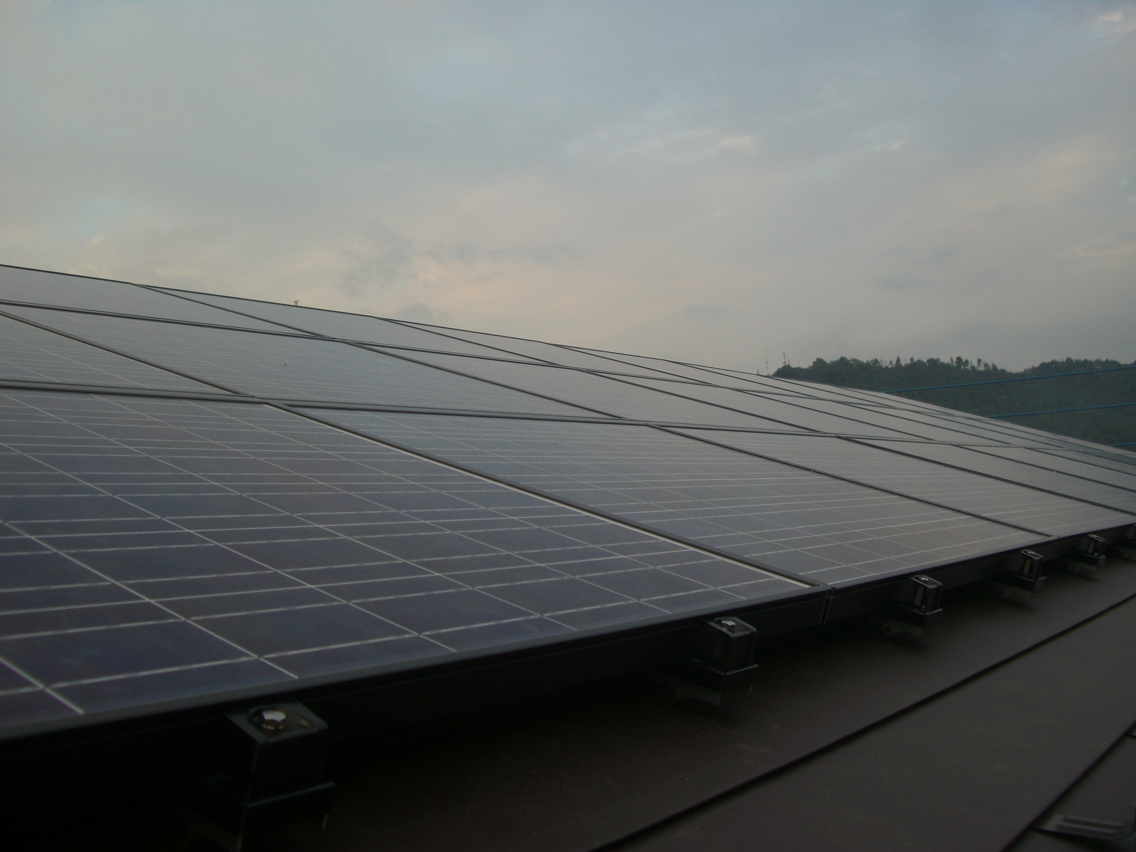 ���z��-�{�H��